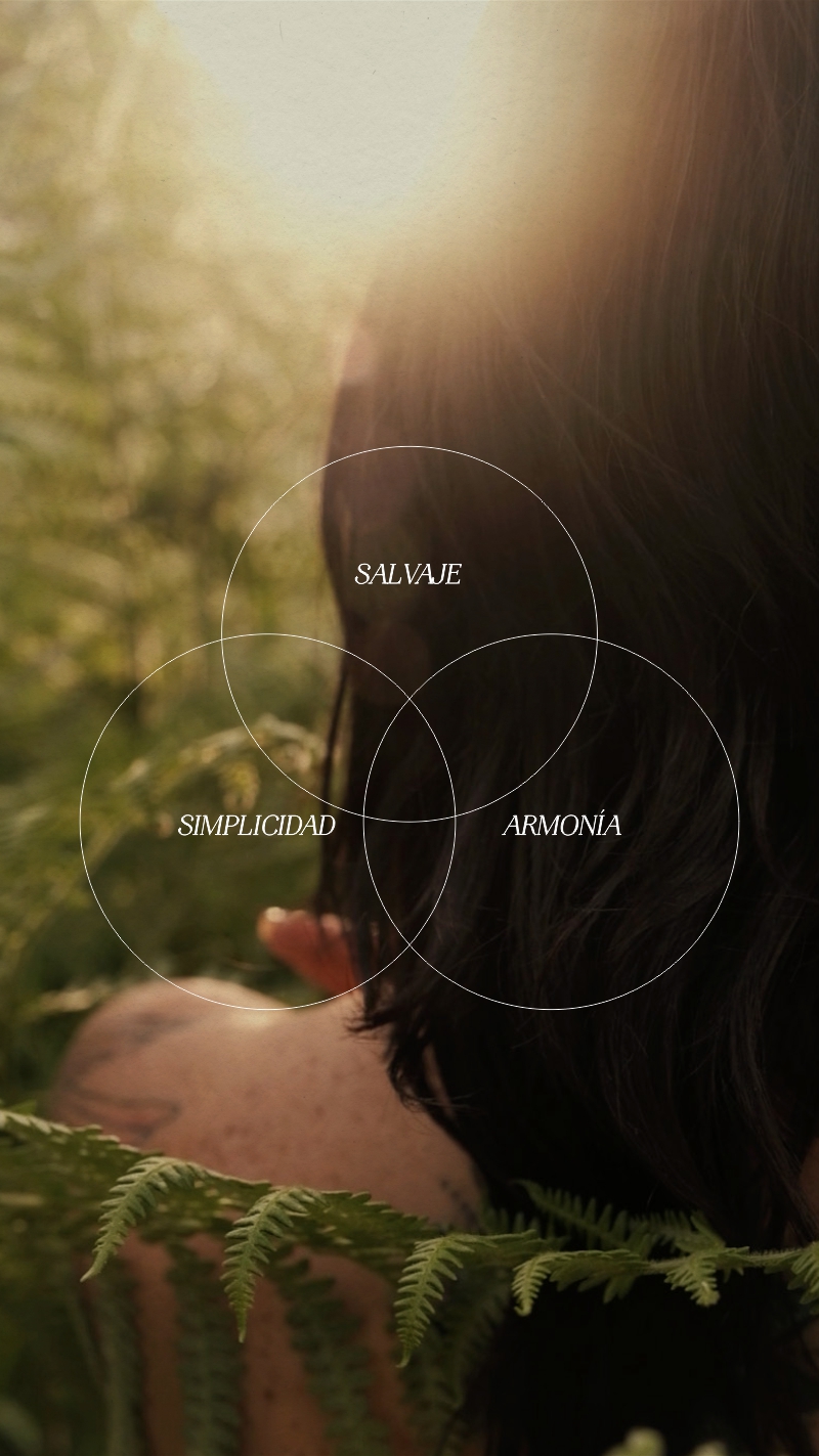 SOBRE DANZAS DE GAIA diagrama